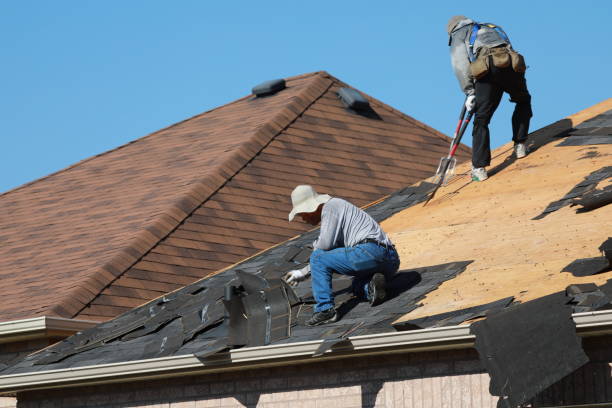 Best Cold Roofs  in Lake Forest Park, WA