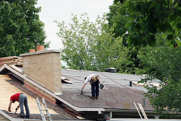 Best Storm Damage Roof Repair  in Lake Forest Park, WA